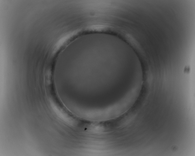 X0000114660640200910201531