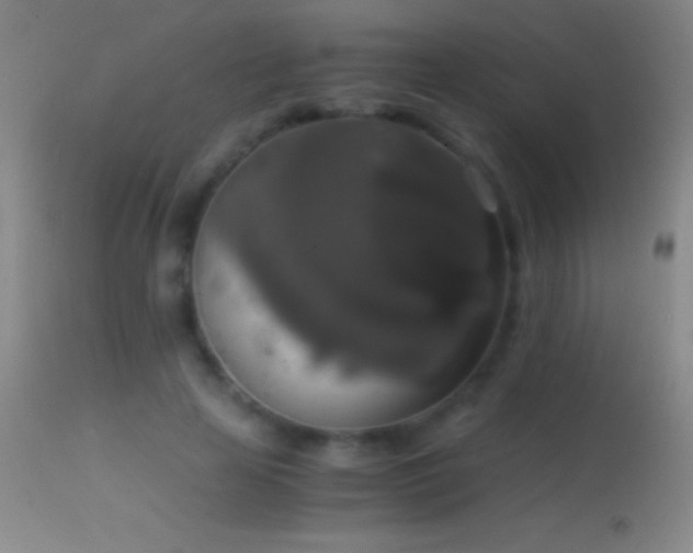 X0000114660641200910201531