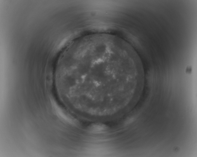 X0000114660642200910201531