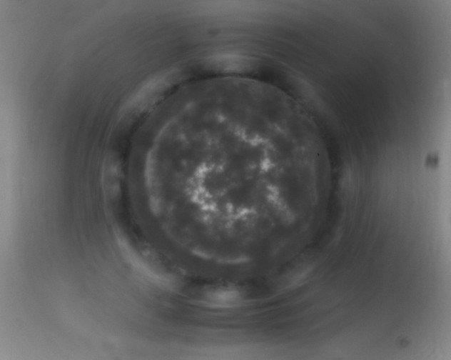 X0000114660643200910201531