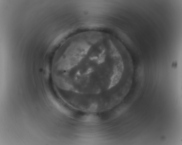 X0000114660644200910201531