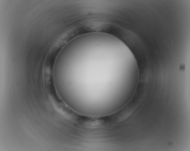 X0000114660646200910201531