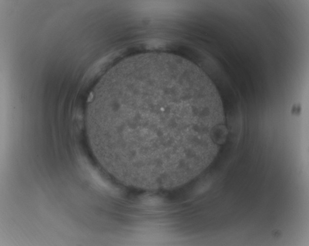 X0000114660648200910201531