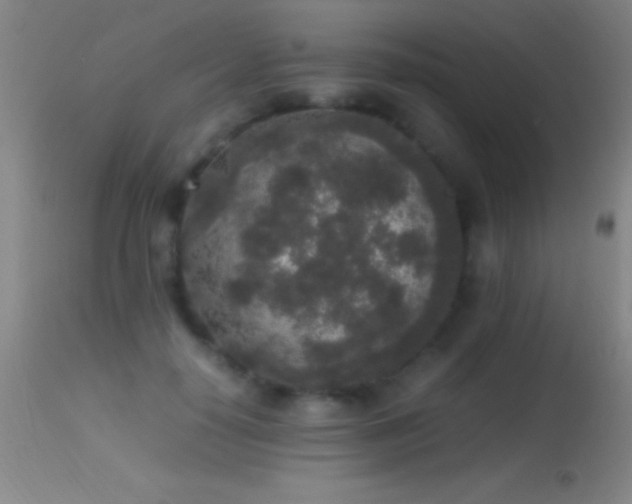 X0000114660650200910201531