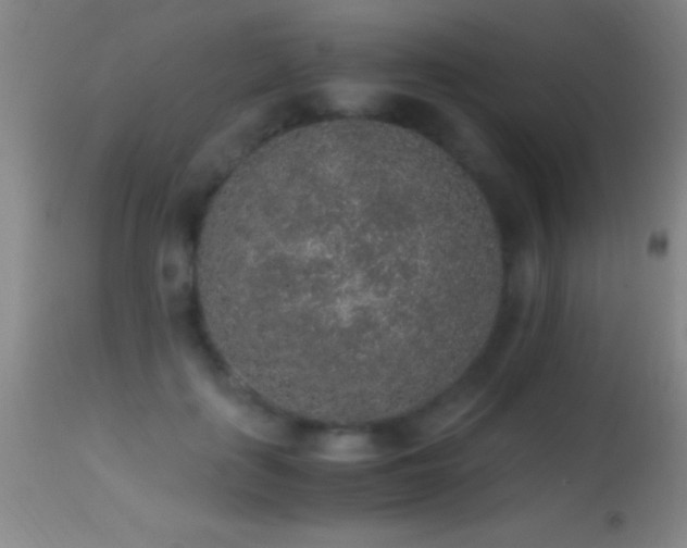 X0000114660651200910201531