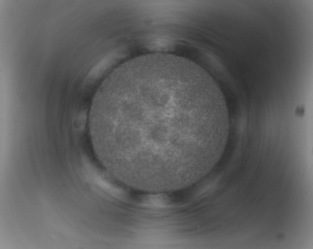 X0000114660652200910201531