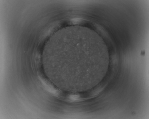 X0000114660653200910201531