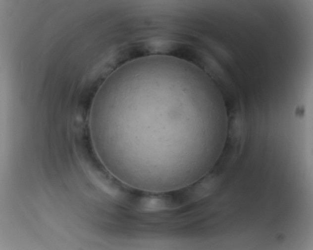 X0000114660655200910201531