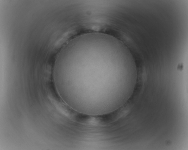 X0000114660656200910201531