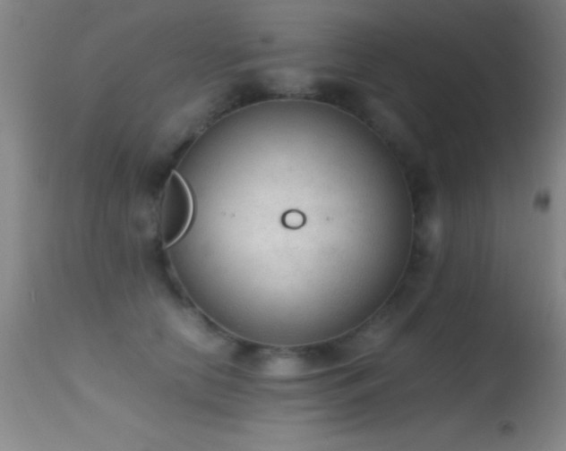 X0000114660658200910201531