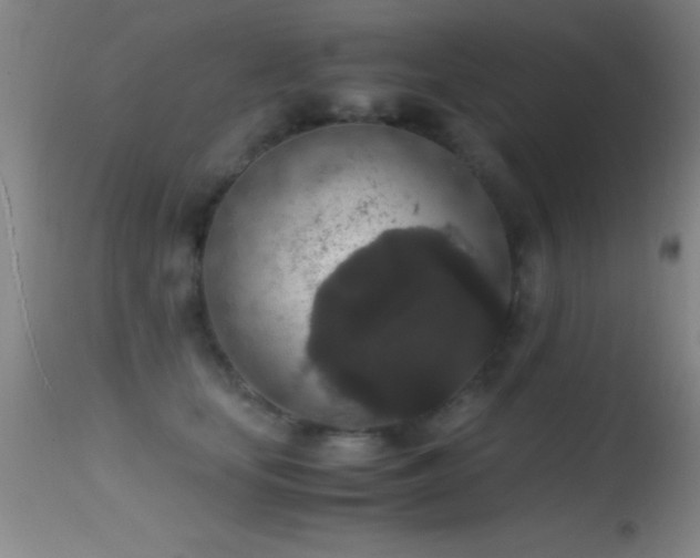 X0000114660659200910201531