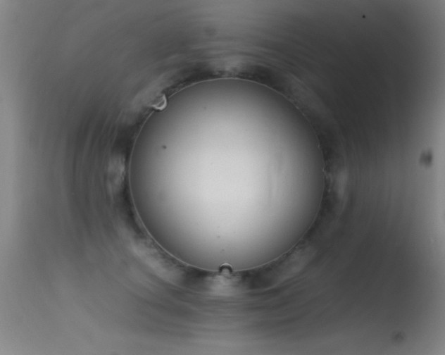 X0000114660660200910201532