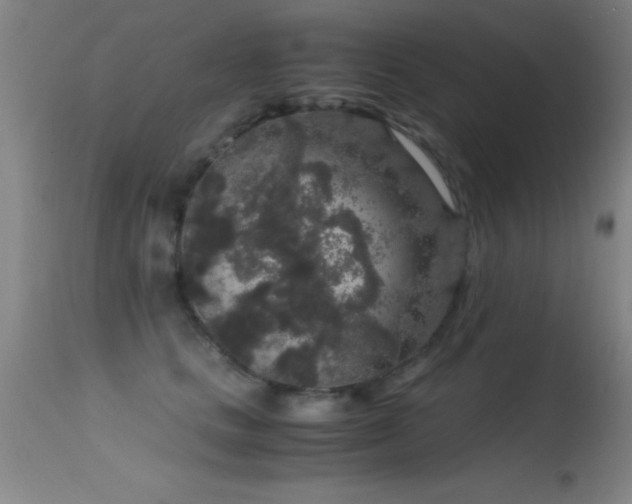 X0000114660661200910201532