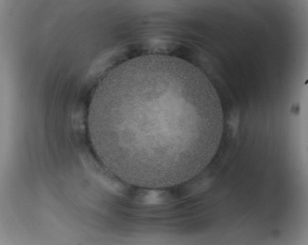 X0000114660663200910201532