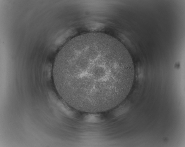 X0000114660664200910201532