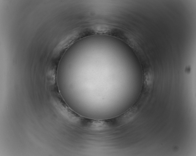 X0000114660666200910201532