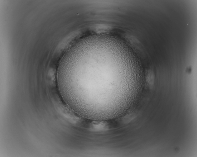 X0000114660667200910201532