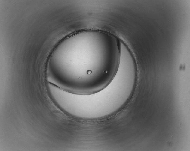 X0000114660673200910201531