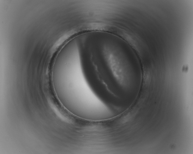 X0000114660674200910201531