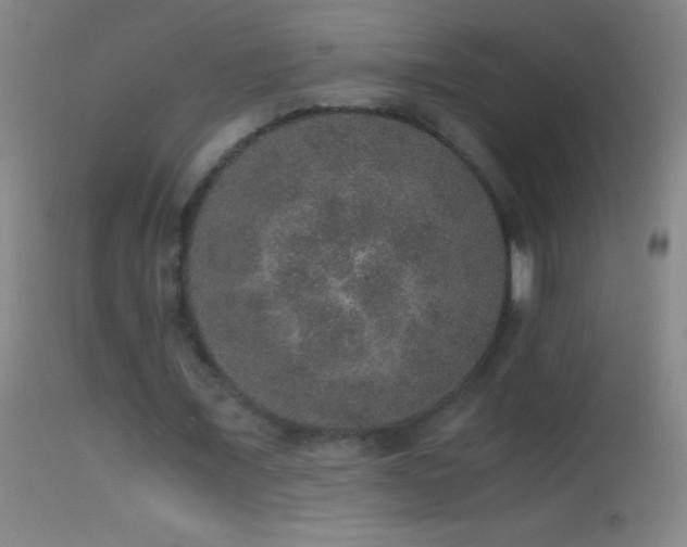 X0000114660675200910201531