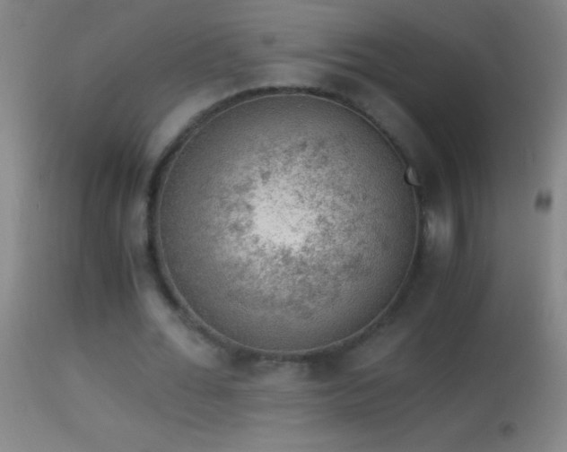 X0000114660676200910201531