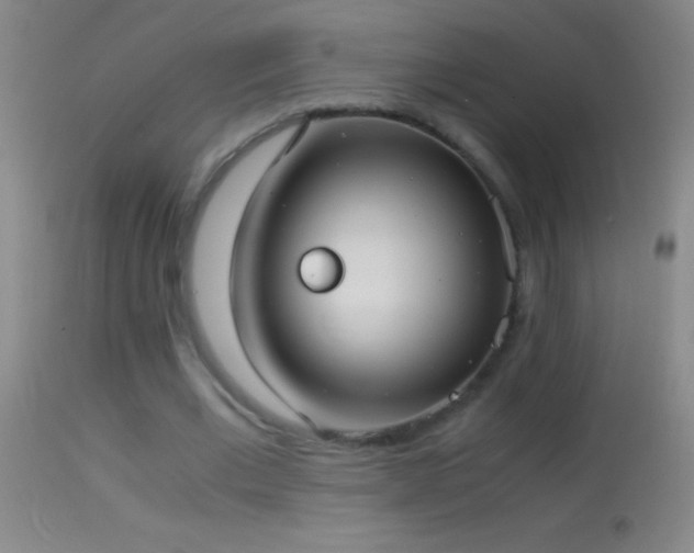 X0000114660677200910201531