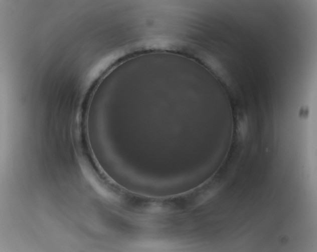 X0000114660678200910201531