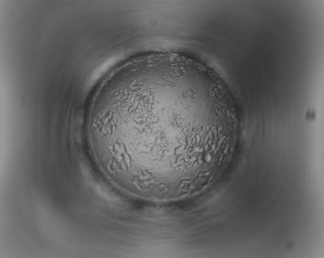 X0000114660679200910201531