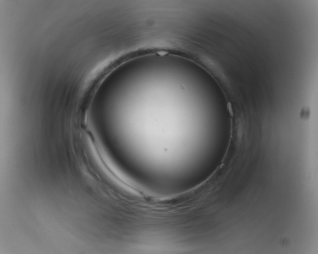 X0000114660680200910201531