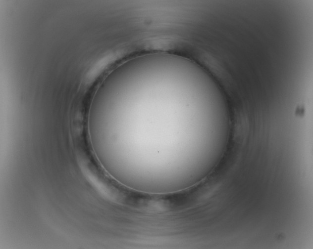 X0000114660683200910201531