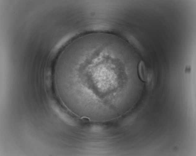 X0000114660684200910201531