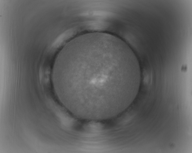 X0000114660685200910201531