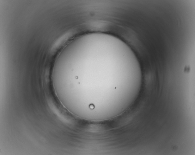 X0000114660686200910201531