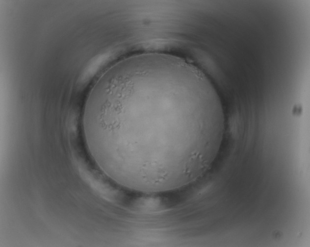 X0000114660687200910201531