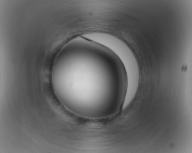 X0000114660689200910201531