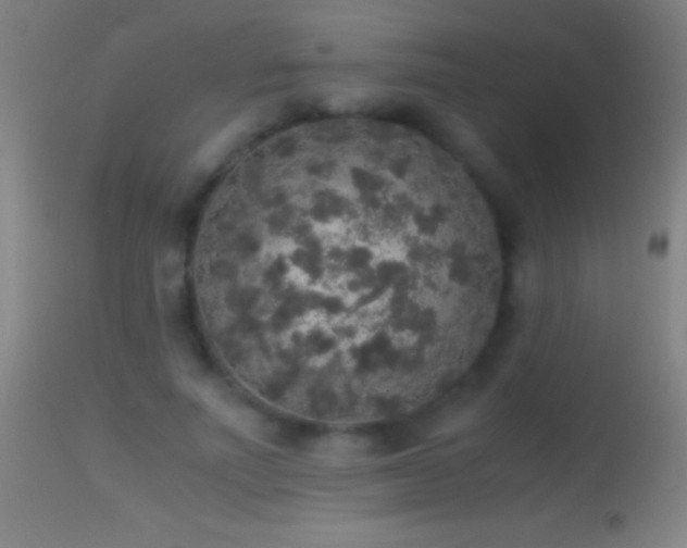 X0000114660691200910201531