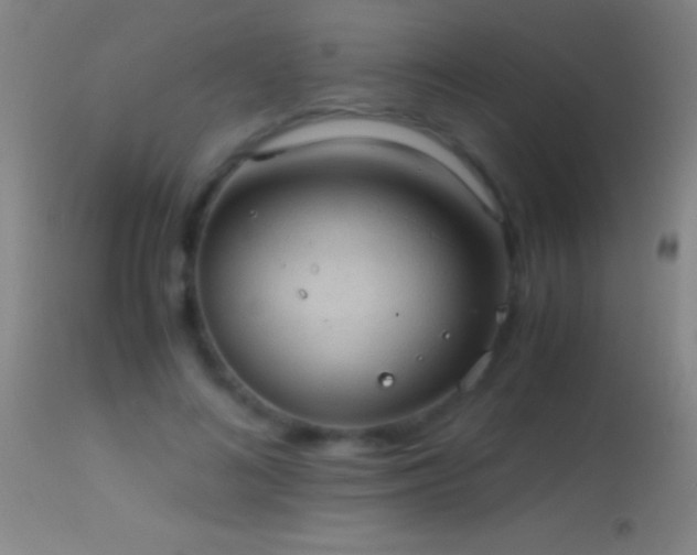 X0000114660692200910201531