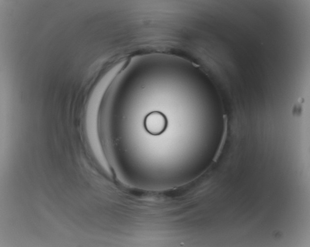 X0000114660693200910201531