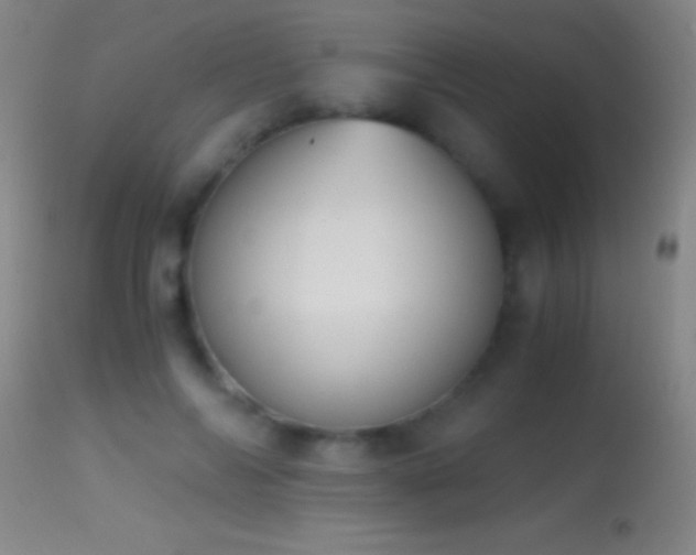 X0000114660694200910201531