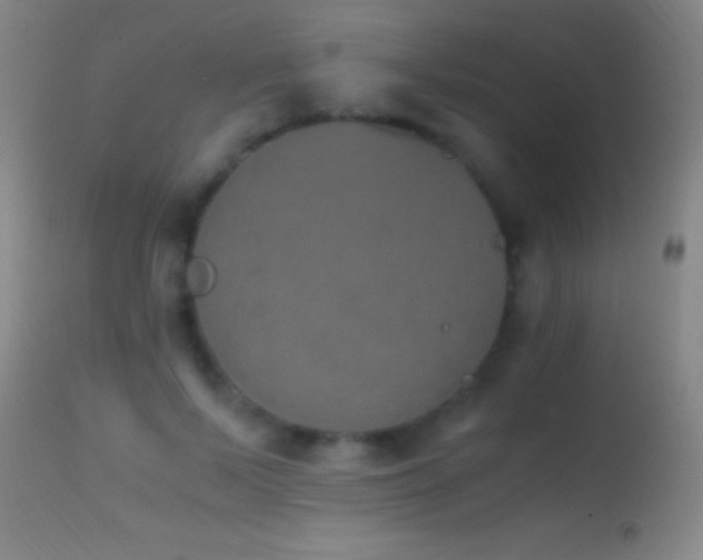 X0000114660695200910201531