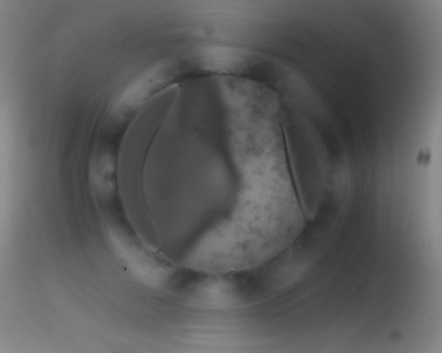 X0000114660696200910201531