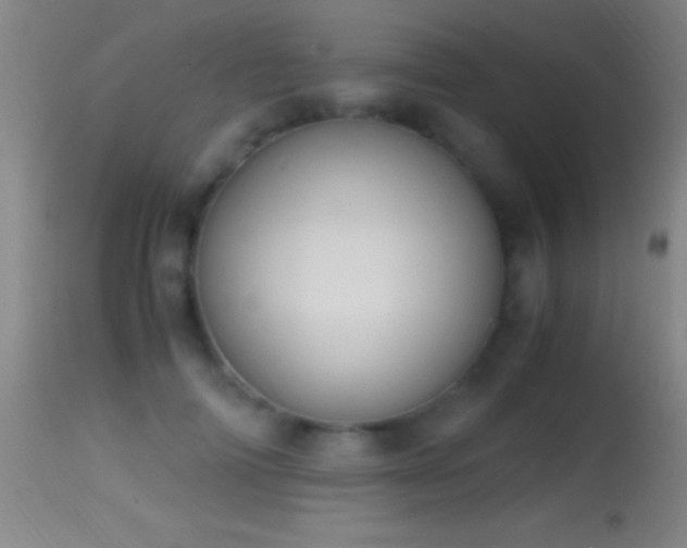 X0000114660698200910201531