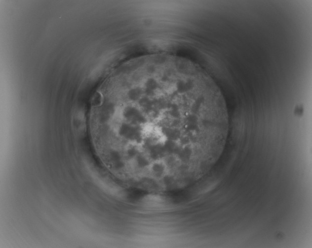 X0000114660699200910201531