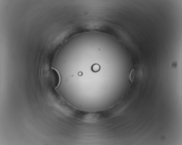 X0000114660700200910201531