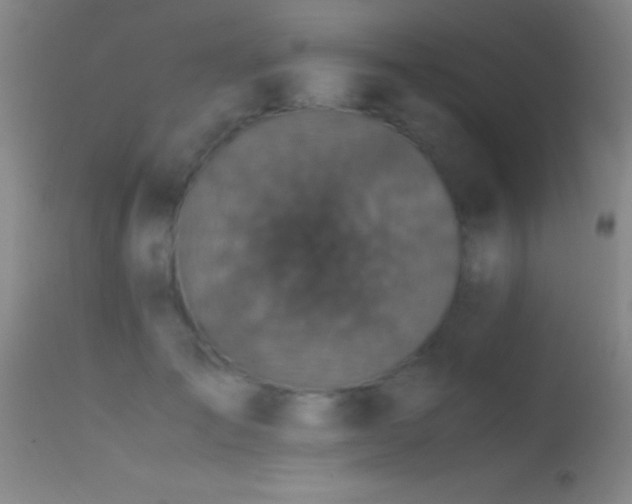 X0000114660701200910201531