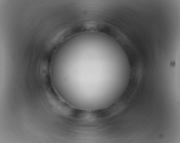 X0000114660702200910201531