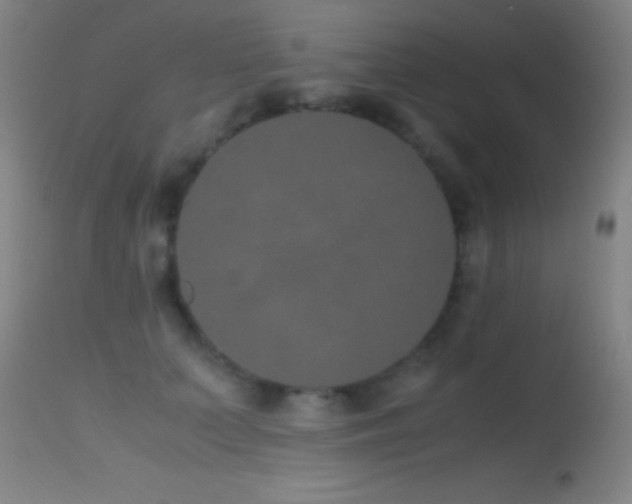 X0000114660703200910201531