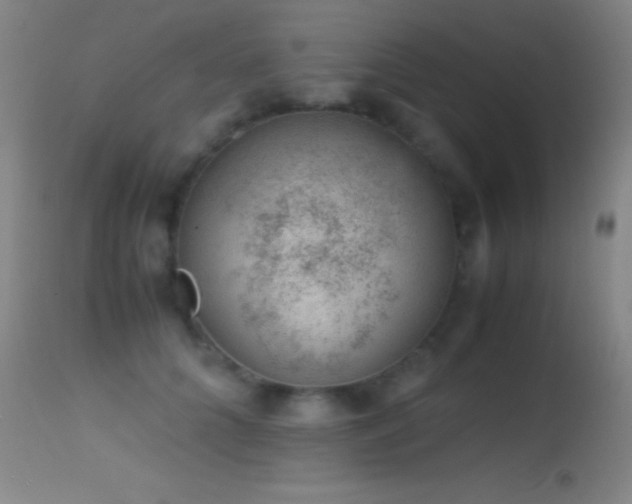 X0000114660704200910201531