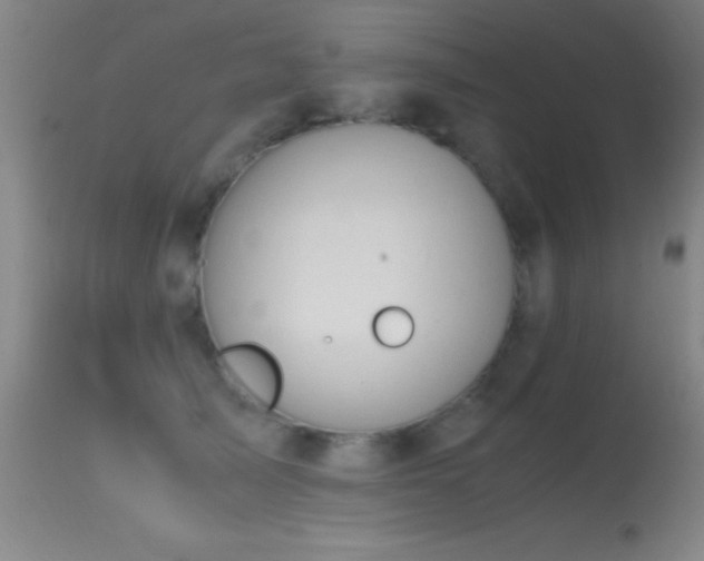 X0000114660705200910201531