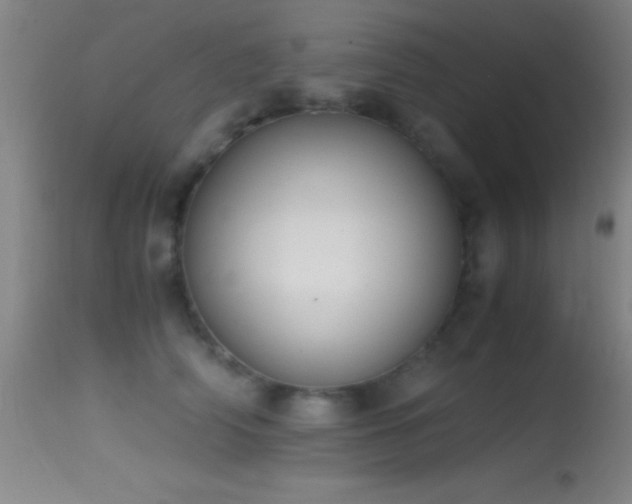 X0000114660706200910201531